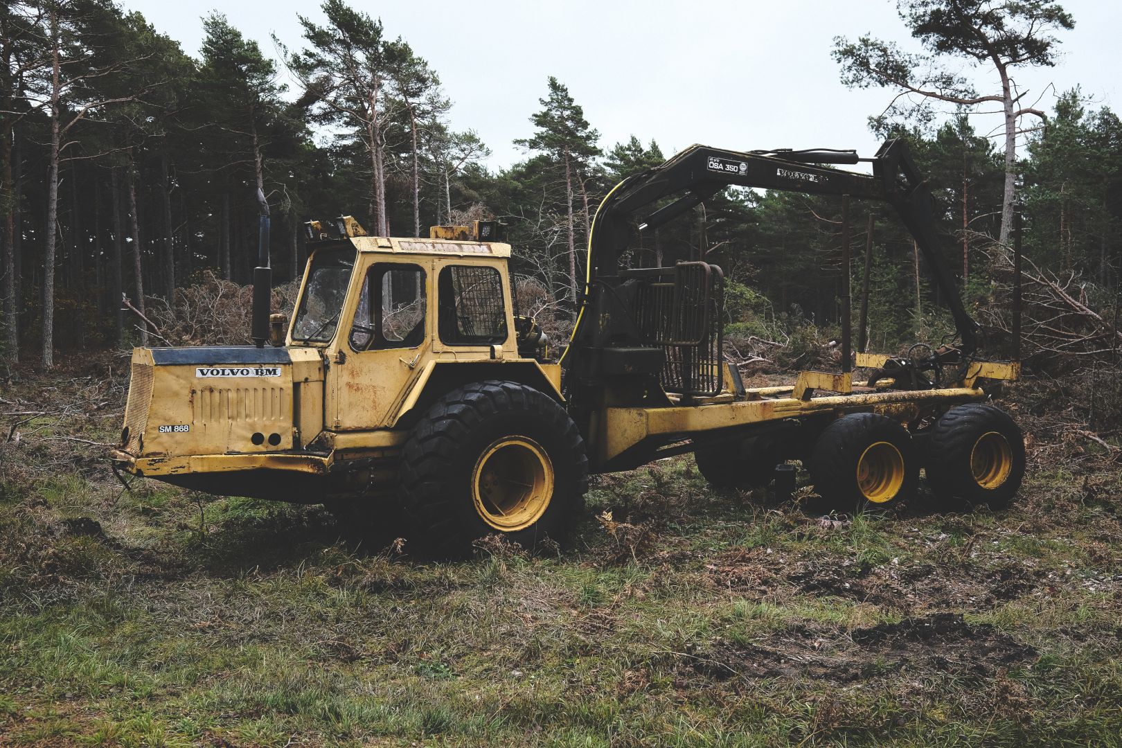 En gul gammal rostig skogsmaskin sedd från sidan. Av texten på huven går det att utläsa att det är en Volvo BM SM 868. Den är midjestyrd och har en kran bak och står parkerad i en tallskog.