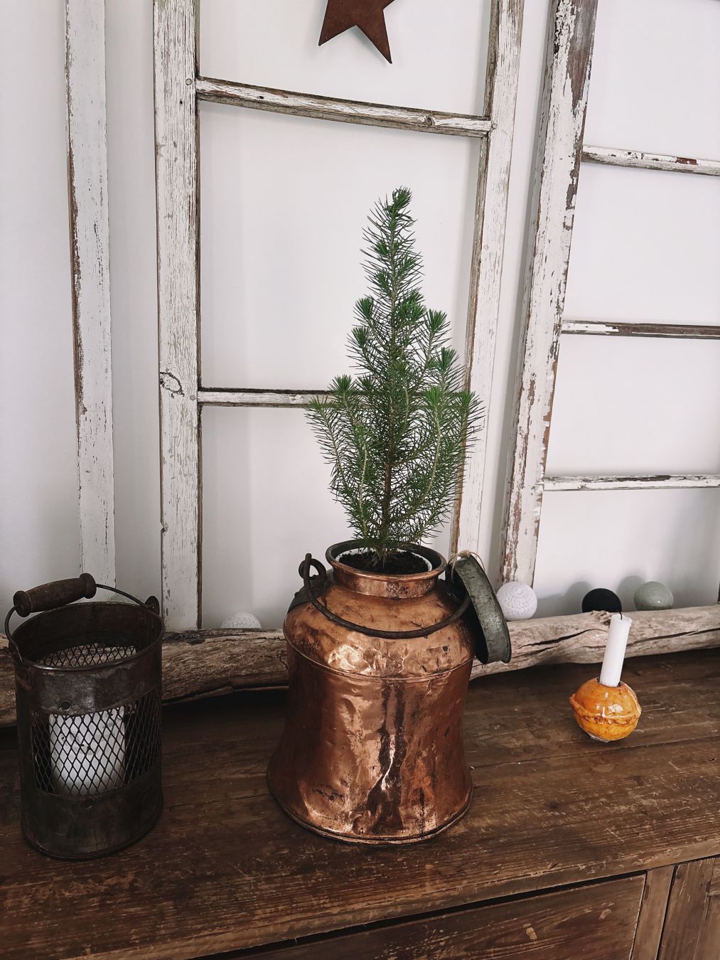 En mjölkkanna i koppar med en enplanta i, stående på en skänk i obehandlat trä framför några slitna fönsterkarmar utan glas som står lutade mot väggen. Bredvid syns inredningsdetaljer och stearinljus.