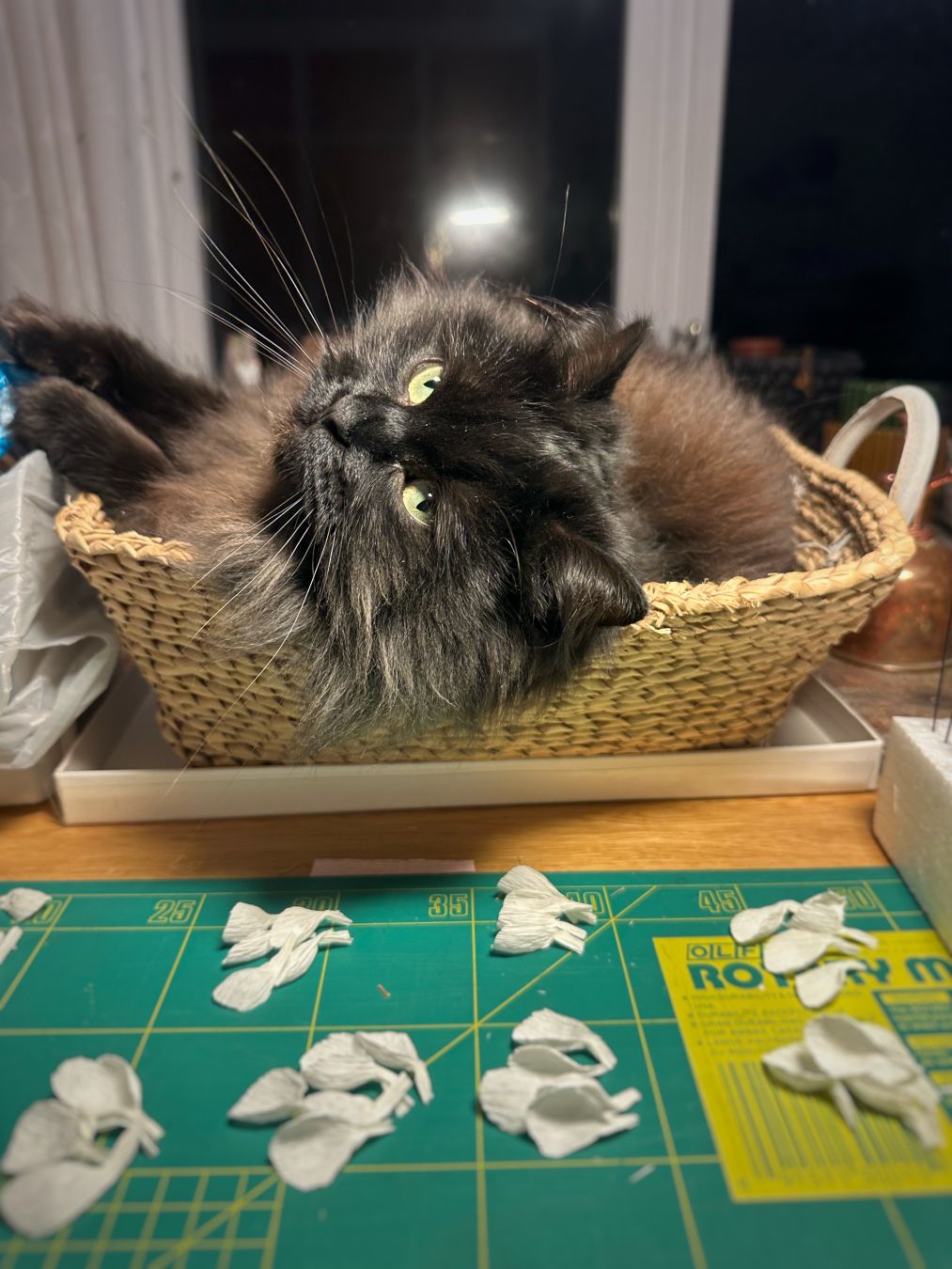 A black cat in a basket on a work table